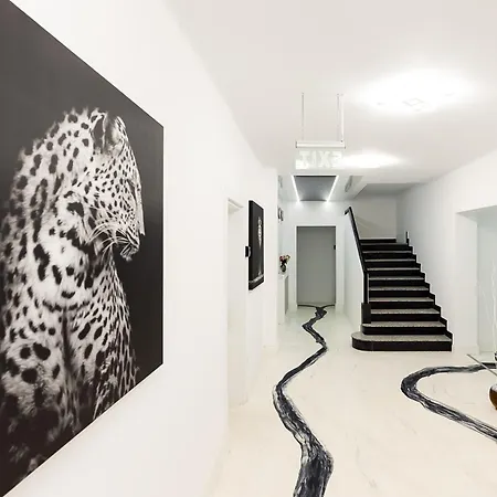 Bucharest Studios Bükreş