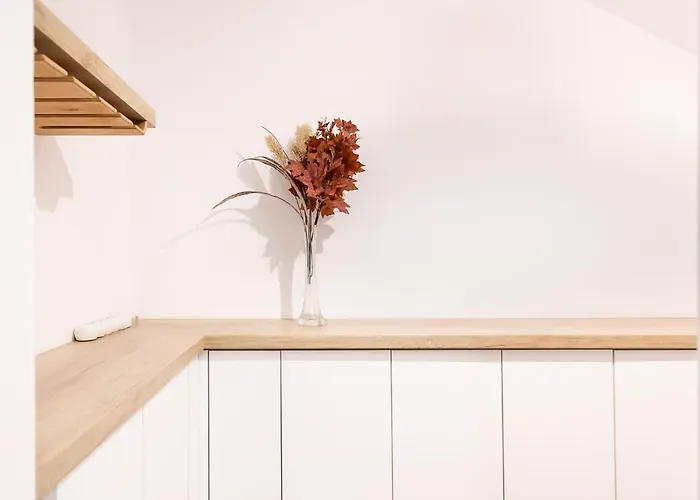 Bucharest Studios * Bucharest