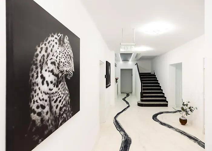 Bucharest Studios Бухарест